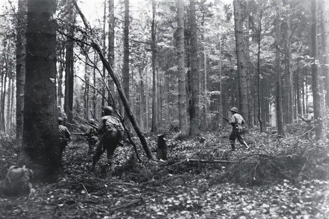 Battle of Hürtgen Forest